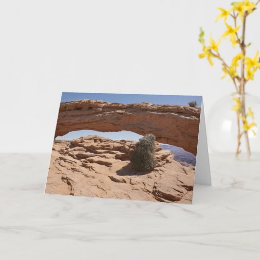 メサ・アーチとカニョンランズのタンブレウィード カード (黄色い花)