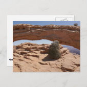 メサ・アーチとカニョンランズのタンブレウィード ポストカード (正面/裏面)