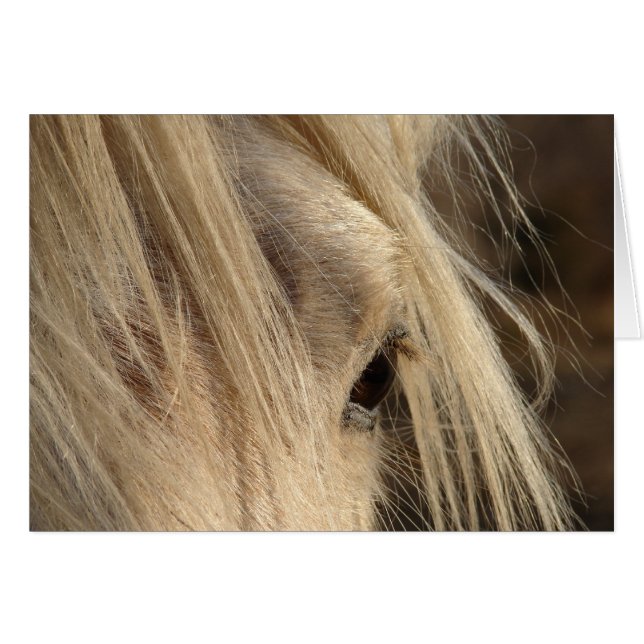 メシのマネの日 (正面横)