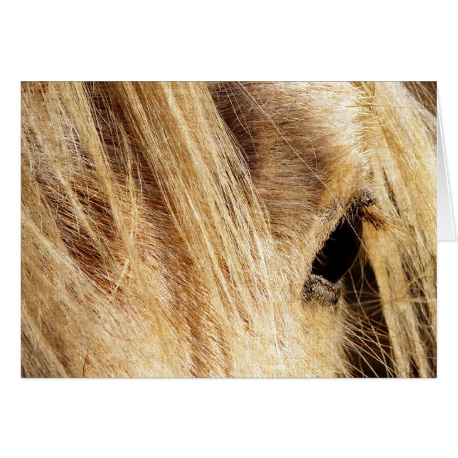 メシのマネの日 (正面横)