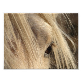 メシのマネの日 フォトプリント           