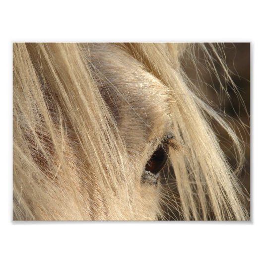 メシのマネの日 フォトプリント            (正面)