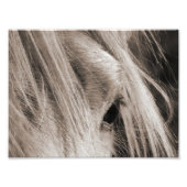 メシのマネの日 フォトプリント            (正面)