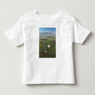 メシュエン近くの熱気球、カンタベリー トドラーTシャツ