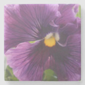 メシュテルド ストーンコースター (正面)