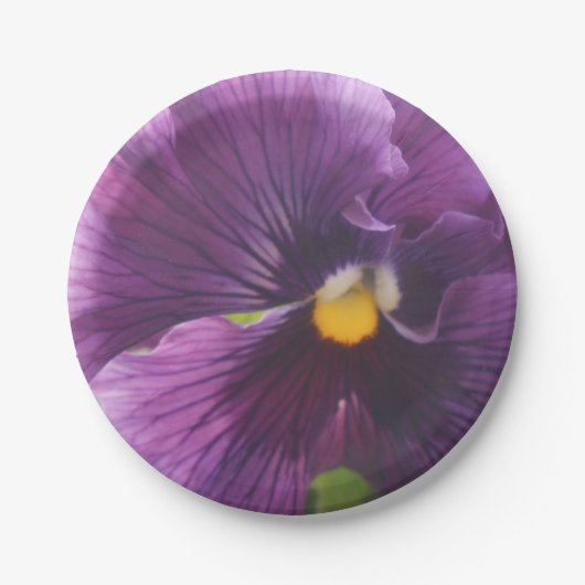 メシュテルド ペーパープレート (正面)