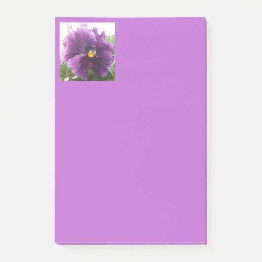 メシュテルド ポストイット (正面)