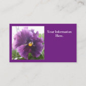 メシュテルド 名刺 (正面)