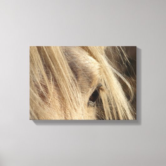 メシー・マネ キャンバスプリント (正面)