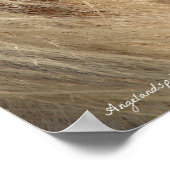 メシー・マネ ポスター (角)