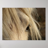 メシー・マネ ポスター (正面)