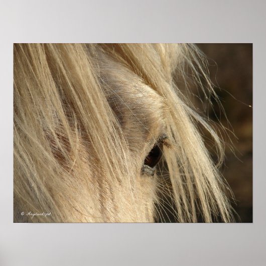 メシー・マネ ポスター (正面)