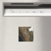 メシ中部の風景の衛星表示 マグネット (インサイチュ (食洗機))