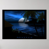 メジコ ポスター (正面)