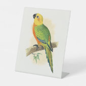 メジロインコ、 台座サイン (正面)