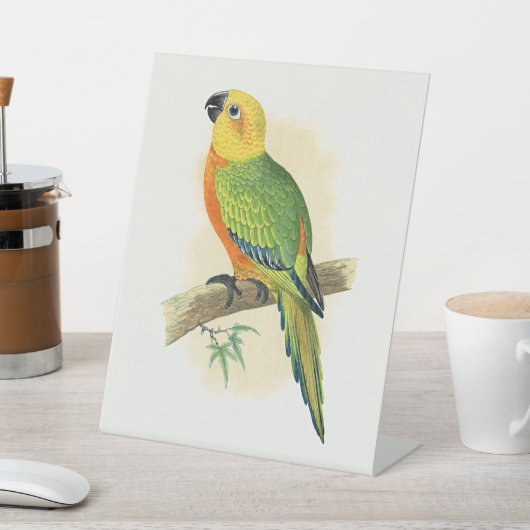 メジロインコ、 台座サイン (インサイチュ)