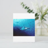 メジロザメ ポストカード (スタンド正面)