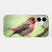 メジロモドキ 鳥 野鳥 裏庭 iPhone 16ケース (裏面横)