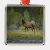 メスのオオシカは立ちまaのカメラを見ます メタルオーナメント (正面)