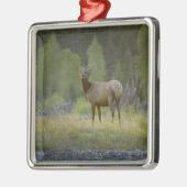 メスのオオシカは立ちまaのカメラを見ます メタルオーナメント (左)