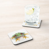 メスのカエル コースター (右側)