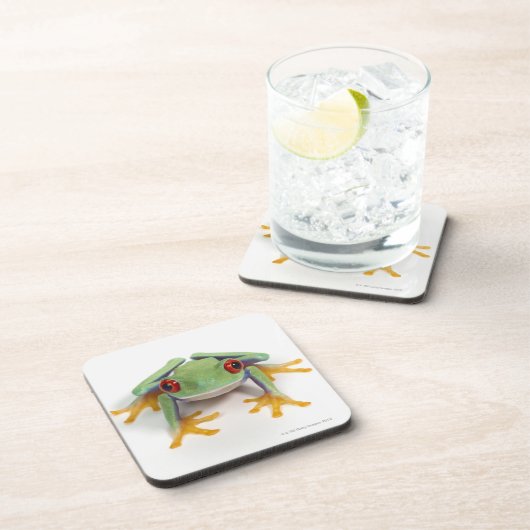 メスのカエル コースター (右側)