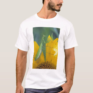 メスのカマキリ Tシャツ