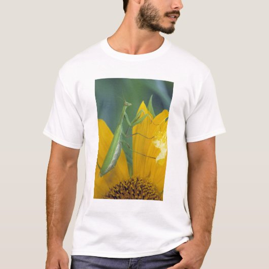 メスのカマキリ Tシャツ (正面)