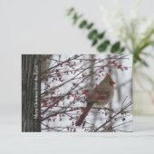 メスのカーディナルが雪を背景にした、素朴な木のホリデー・クリスマスカード 招待状 (スタンド正面)