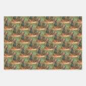 メスのクランパスラッピング紙セット ラッピングペーパーシート (正面3)