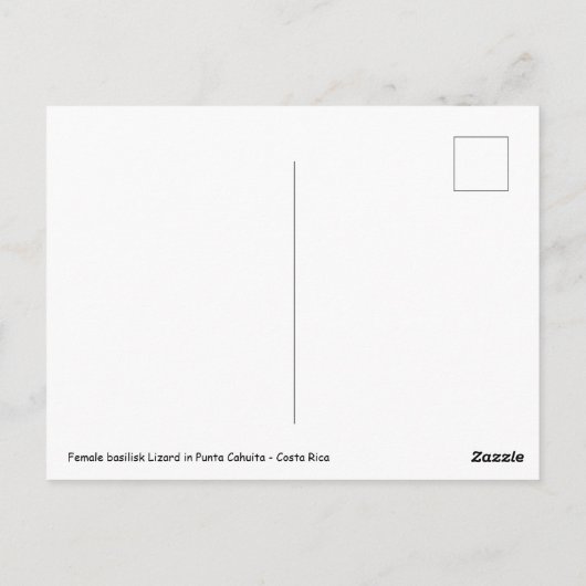 メスのバジリスク・リザード,プンタ・カフイタ – Costa Rica ポストカード (裏面)