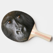 メスのマウンテンゴリラ 卓球ラケット (横)