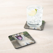 メスのライオン(ヒョウ属レオ)、マサイ族のマラの国民 コースター (右側)