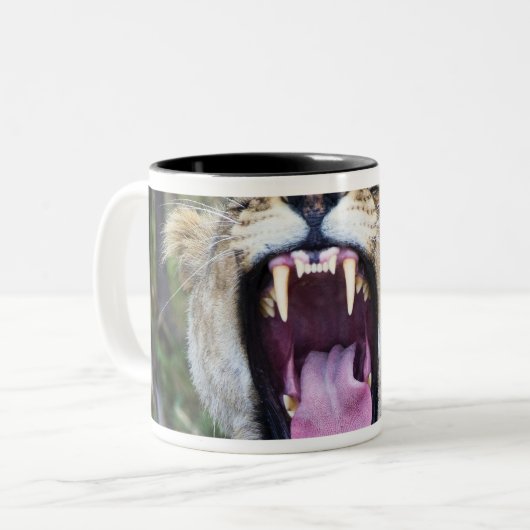 メスのライオン(ヒョウ属レオ)、マサイ族のマラの国民 ツートーンマグカップ (正面左)