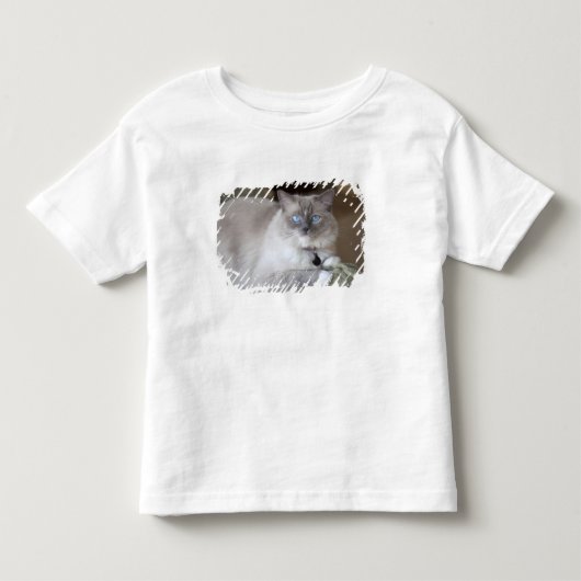 メスのラグドール トドラーTシャツ (正面)