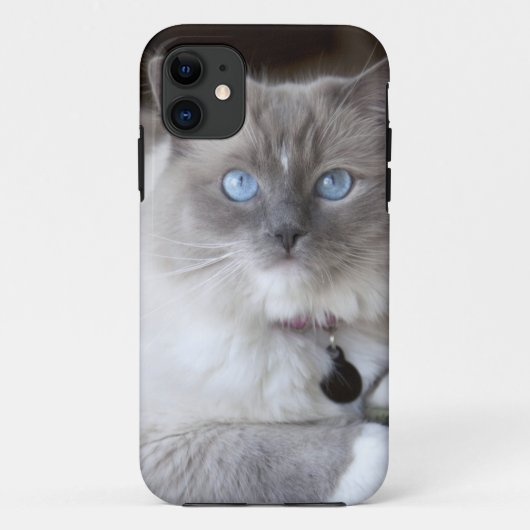 メスのラグドール Case-Mate iPhoneケース (裏面)