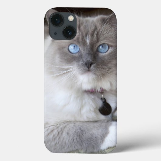 メスのラグドール Case-Mate iPhoneケース (裏面)