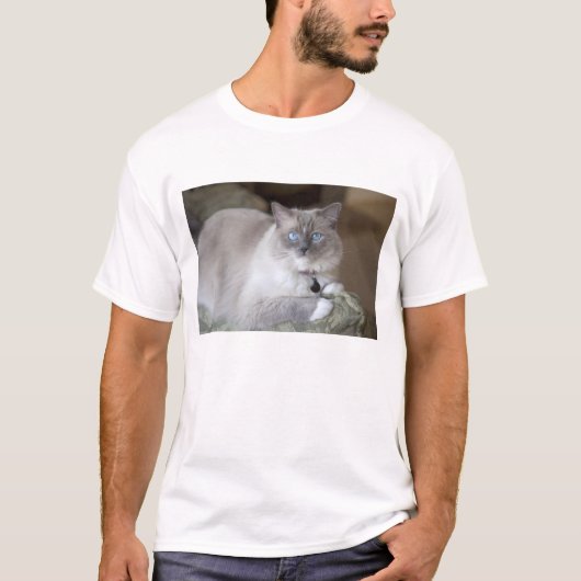 メスのラグドール Tシャツ (正面)