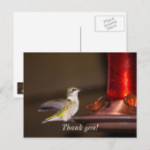メスのルビー喉のハチドリ 感謝 ポストカード (正面/裏面)