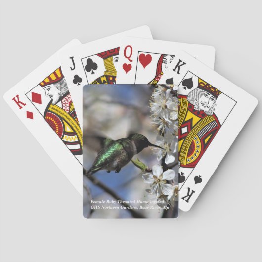 メスのルビー色のThroatedハチドリ トランプ (裏面)