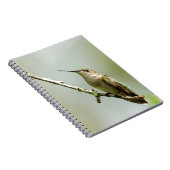 メスのルビーthroatedハチドリ ノートブック (右側)