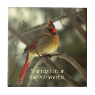 メスの(鳥)ショウジョウコウカンチョウ タイル