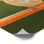 メスアレンのハミングバード – Rosie 1 ポスター (角)