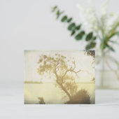 メスキートツリーアットシダーヒルアートポストカード ポストカード (スタンド正面)