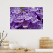 メスキート花 ポスター (キッチン)