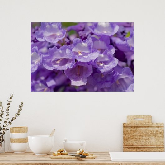 メスキート花 ポスター (キッチン)