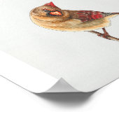 メスノーザン(鳥)ショウジョウコウカンチョウアートプリント ポスター (角)