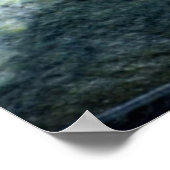 メスマラードアヒル24X24ポスター ポスター (角)