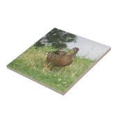 メスマラードアヒル タイル (側面)