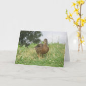 メスマラードダックカード カード (黄色い花)